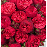 Red Piano Garden Spray Rose Bouquet - Flowers Box London