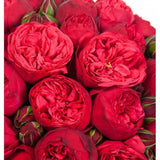 Red Piano Garden Spray Rose Bouquet - Flowers Box London