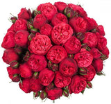 Red Piano Garden Spray Rose Bouquet - Flowers Box London