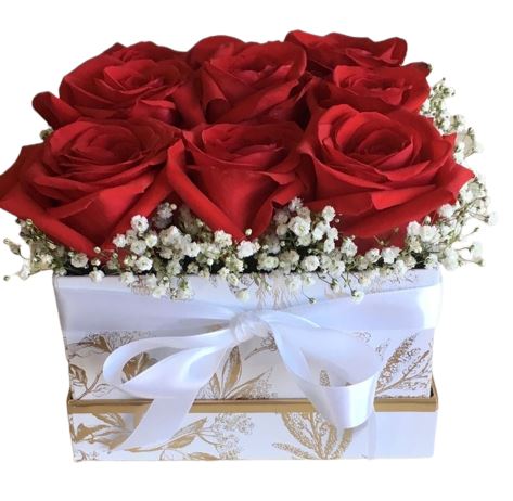 Red Roses with Gypsophila Signature Box