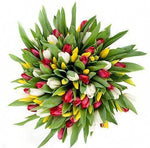 Red White and Yellow Tulips Bouquet