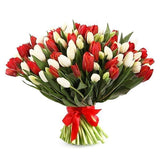 Red & White Tulips Bouquet - Flowers Box London