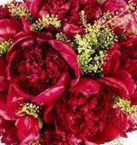 Ruby Red Peony Bouquet - Flowers Box London