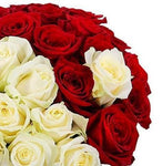 Scarlet Heart Box
