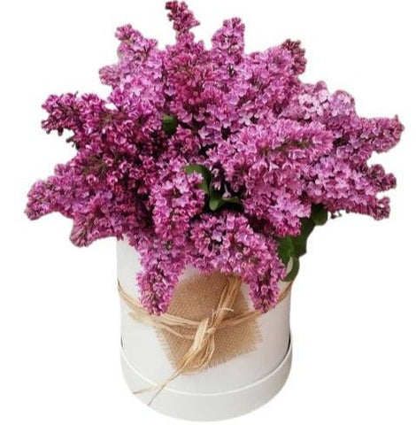 Scented Lilac Flower Box - Flowers Box London