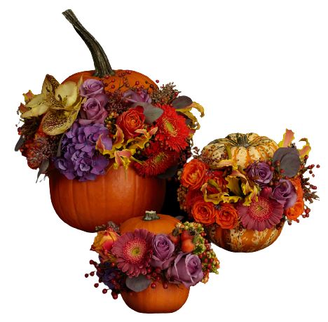 Set Pumpkin Arrangement