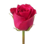 Six Roses with Greenery Bouquet - Flowers Box London