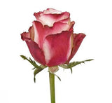 Six Roses with Greenery Bouquet - Flowers Box London