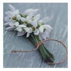 Snowdrops Sympathy Card