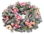Snowing Cymbidium Orchids Christmas