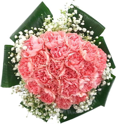 Soft Pink Carnations Nest