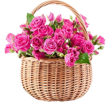 Spray Roses Basket