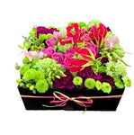 Stunning Flowers Signature Box