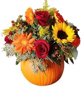 Stunning Halloween Pumpkin - Flowers Box London