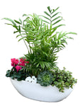 Stunning Home Plants in Pot