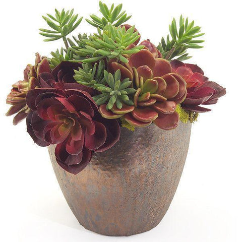 Succulent Ceramic Oval Pot - Flowers Box London
