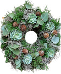 Succulent Holiday Door Wreath