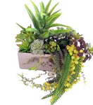 Succulents Arrangements