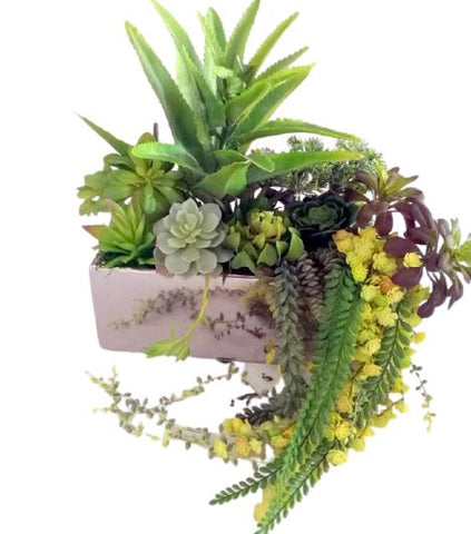 Succulents Arrangements - Flowers Box London