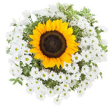 Sunflower and white santini chrysanthemum bouquet