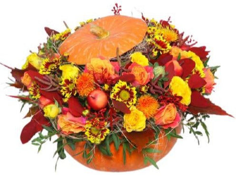 Sunrise Pumpkin - Flowers Box London