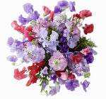 Sweet Pea and Stock Bouquet