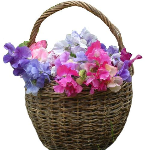 Sweet Pea Basket