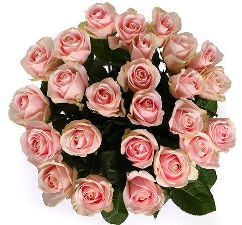 Sweet Pink Avalanche Roses Bouquet
