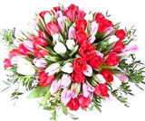 Three-colored Tulips with Greenery