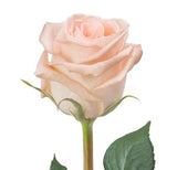 Three Roses with Greenery Bouquet - Flowers Box London