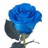 Three Roses with Greenery Bouquet - Flowers Box London