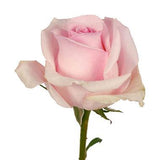 Three Roses with Greenery Bouquet - Flowers Box London