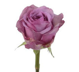 Three Roses with Greenery Bouquet - Flowers Box London