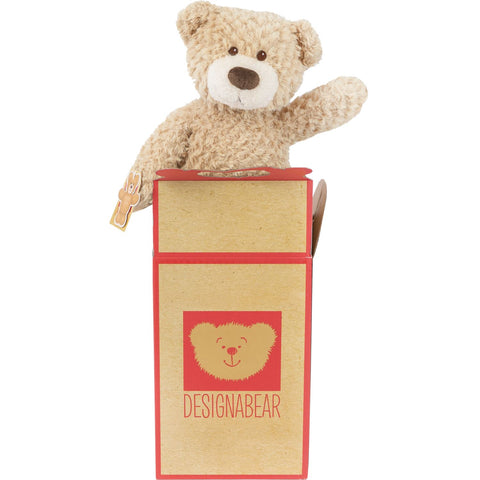 Traditional Teddy Bear in a Box 50cm