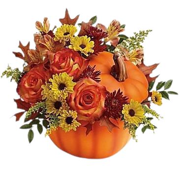 Trick & Treat Pumpkin Arrangement