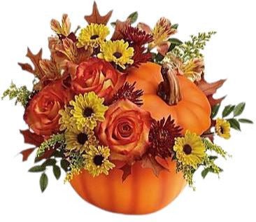 Trick & Treat Pumpkin Arrangement - Flowers Box London