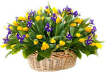 Tulips and Iris Basket - Flowers Box London