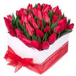 Tulips Signature Box - Flowers Box London