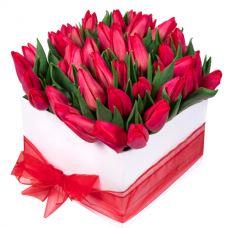 Tulips Signature Box