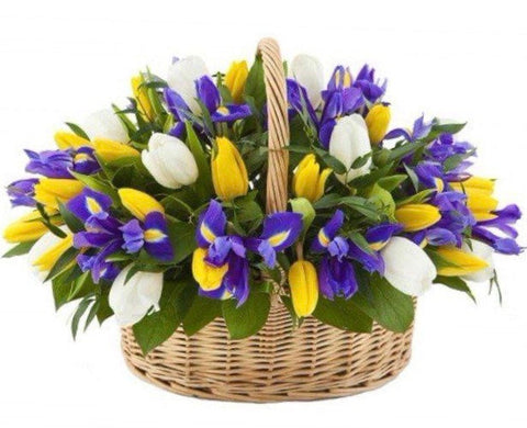 Tulips with Iris Basket