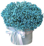 Turquoise Gypsophila Box