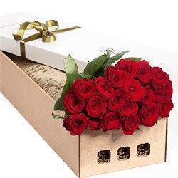 Two Dozen Red Roses Luxury Box