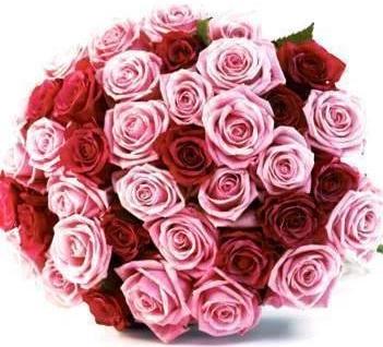 Two Shades Of Love: red and pink roses bouquet