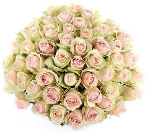 Unique Light Pink Roses Bouquet