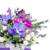 Vanda Orchids Luxury Box - Flowers Box London