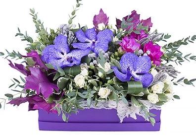 Vanda Orchids Signature Box