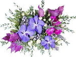 Vanda Orchids Signature Box