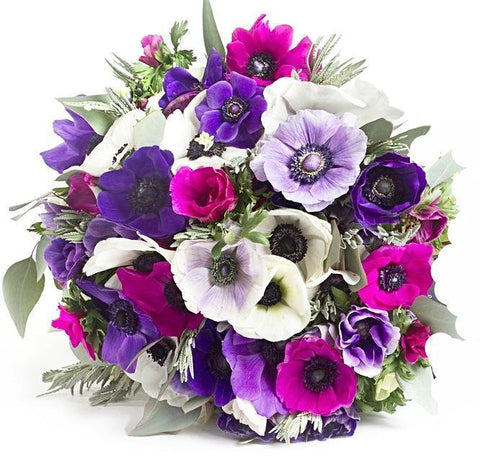Vibrant Anemone Bouquet