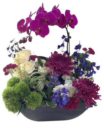Vibrant Phalenopsis Orchids and Flowers Pot Arrangement - Flowers Box London