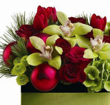 Warm Cozy Christmas Box - Flowers Box London